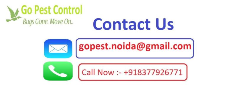 Pest Control Contact Number +918377926771 Delhi NCR